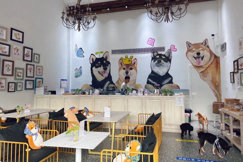 身邊的美學空間 蘇州這幾處公共文化體驗空間，文藝小資且充滿藝術靈感